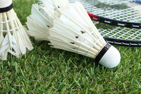 为全球游客 为全球游客